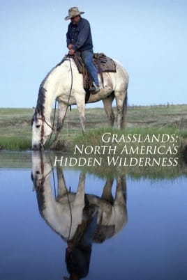 Watch Grasslands: North America's Hidden Wilderness online