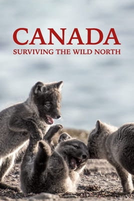 Watch Canada: Surviving the Wild North online