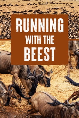 Watch Running with the Beest online
