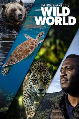 Watch Patrick Aryee's Wild World online