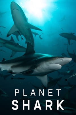 Watch Planet Shark online