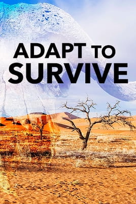 Watch Adapt to Survive online