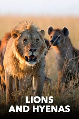Watch Lions and Hyenas online