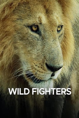 Watch Wild Fighters online
