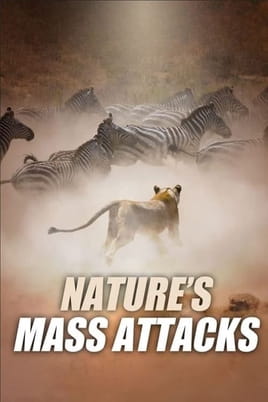 Watch Nature's Mass Attacks online