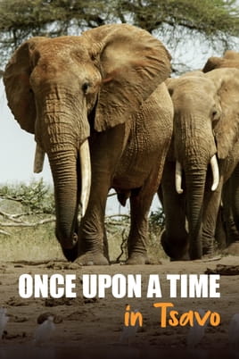 Watch Once Upon A Time in Tsavo online