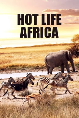 Watch Hot Life: Africa online