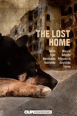 Watch The Lost Home online