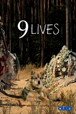 Watch 9 Lives online