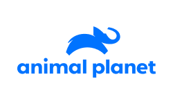 Animal Planet HD
