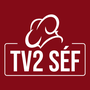 Nézd TV2 SÉF online ingyen HD minőségben a Sweet TV-n!