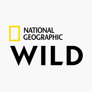 Nat Geo Wild HD