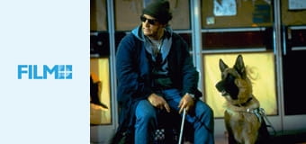 Kutyám, Jerry Lee 3.