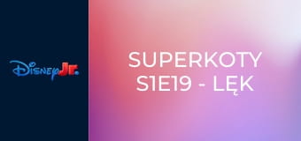 Superkoty S1E19 - Lęk przed lataniem / Ból brzuszka