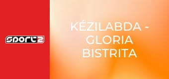 Kézilabda - Gloria Bistrita - Ikast