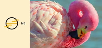 David Attenborough: Az élet színei E1 - Beszédes színek