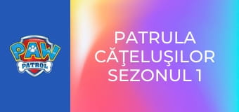 Patrula căţeluşilor Sezonul 1 Episodul 8