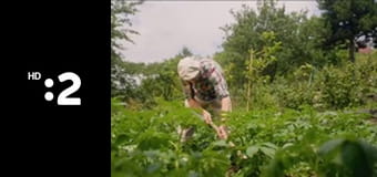 Komu sa nelení, tomu sa zelení E6