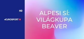 Alpesi sí: Világkupa Beaver Creek, Férfiak - Downhill