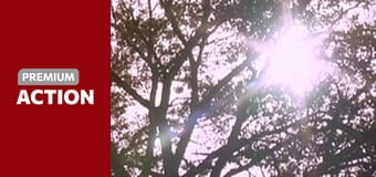 Natural Born Killers