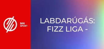 Labdarúgás: Fizz Liga - MTK Budapest – Paksi FC mérkőzés