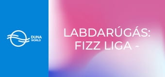 Labdarúgás: Fizz Liga - Nyíregyháza Spartacus FC – DVTK mérkőzés