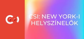 CSI: New York-i helyszínelők S9E11 - Különleges fegyverrel