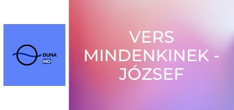 Vers mindenkinek - József Attila: Én nem tudtam (Bánovits Vivianne)