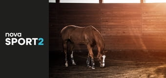 Jezdectví: Global Champions Prague Playoffs