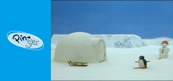 The Pingu Show Sezon 1 Odcinek 59