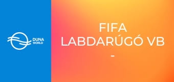 FIFA labdarúgó vb - háttértörténetek