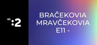 Bračekovia mravčekovia E11 - Remeslo má zlaté dno