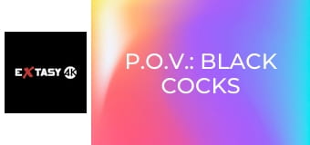 P.O.V.: Black Cocks