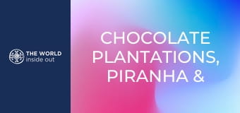 Kakaóültetvények, piranha- és krokodilvadászat. Bolívia.