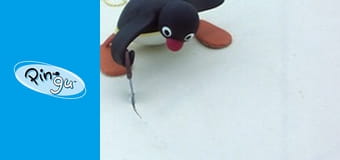 Pingu Sezon 3 Odcinek 18