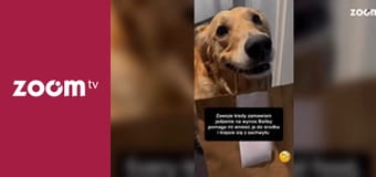 To leci w sieci S1E41