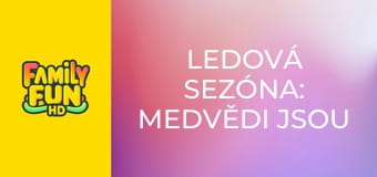 Ledová sezóna: Medvědi jsou zpět