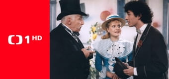 Co medvědi nevědí