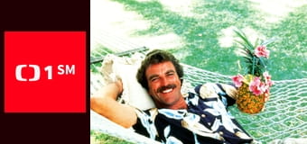 Magnum - Čtyřicítka