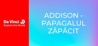 Addison - Papagalul zăpăcit