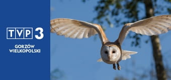 Prywatne życie zwierząt