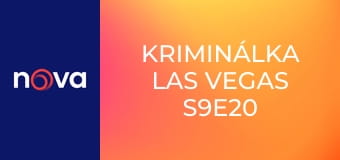 Kriminálka Las Vegas S9E20 - Návštěvníci
