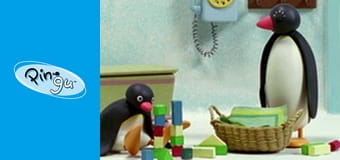 Pingu Sezon 5 Odcinek 5
