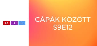 Cápák között S9E12