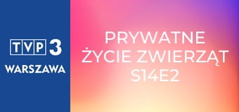 Prywatne życie zwierząt S14E2 - Koty, kotki, koteczki