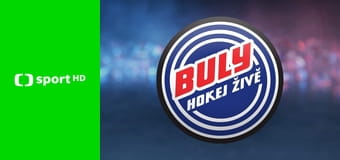 Buly - debata expertů Buly - debata expertů