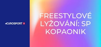 Freestylové lyžování: SP Kopaonik