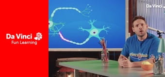 ScienceXplosion - Neurons, Neurons, Neurons!