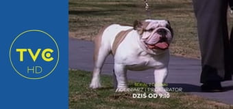 Z lokalnego archiwum