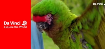 Do You Know? - Maddie The Zoo and You - How do We Communicate?